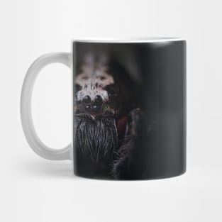 Spider face macro Mug